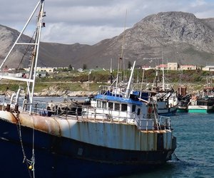 Gansbaai Movement - Gansbaai Weekend Inspiration